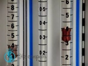 Что входит в состав мезококтейля для лица