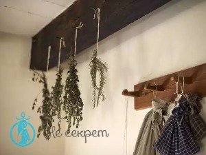 Рецепт травяного крема от морщин с облепиховым маслом