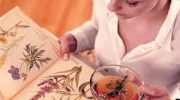 мастопатия лечение травами